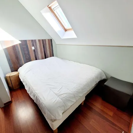 Maison 3 Jardin Parking Proche Plage, Wifi, Animaux Acceptes - Fr-1-675-43 *